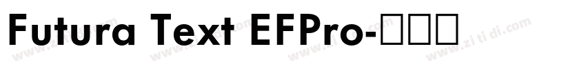 Futura Text EFPro字体转换